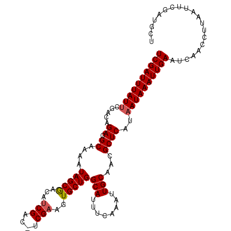 secondary structure