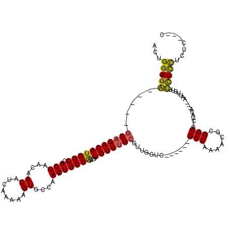 secondary structure
