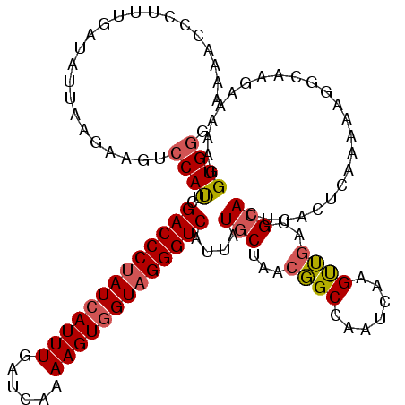 secondary structure