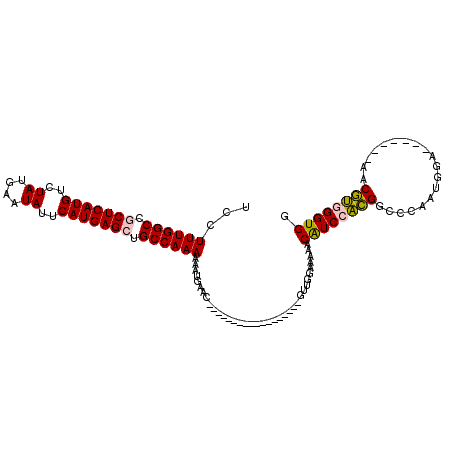 secondary structure