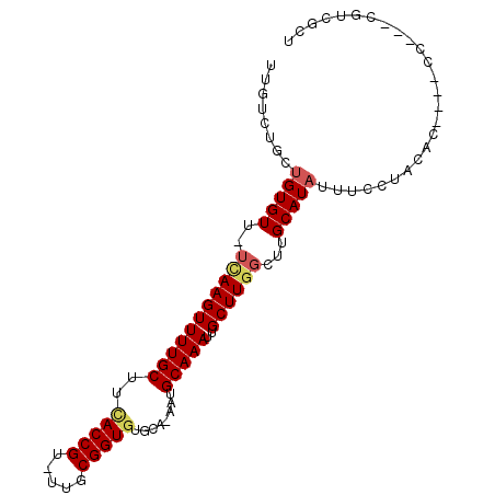 secondary structure