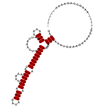 secondary structure