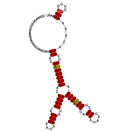 secondary structure
