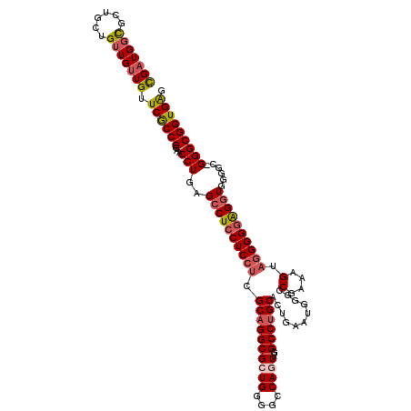 secondary structure