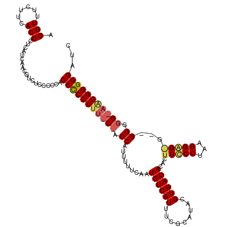 secondary structure