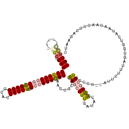 secondary structure