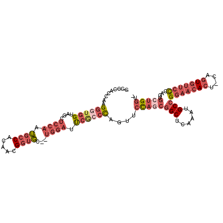 secondary structure