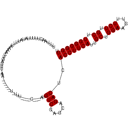secondary structure