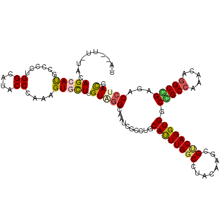 secondary structure
