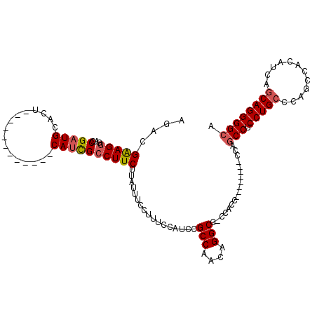 secondary structure