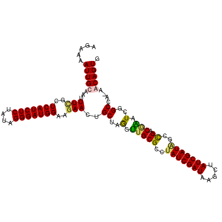 secondary structure