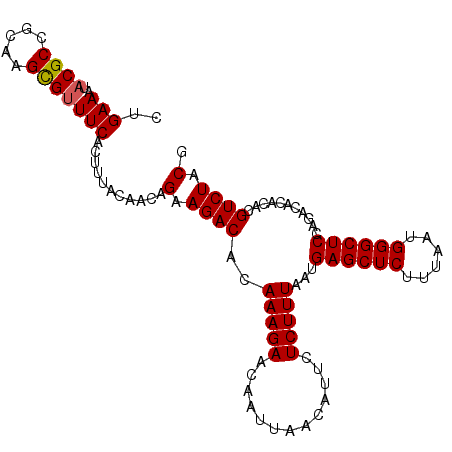 secondary structure