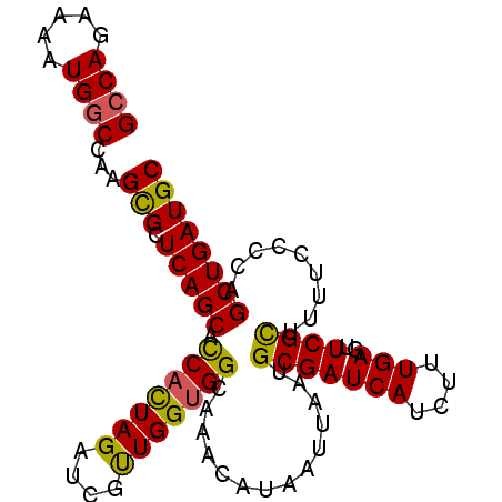 secondary structure