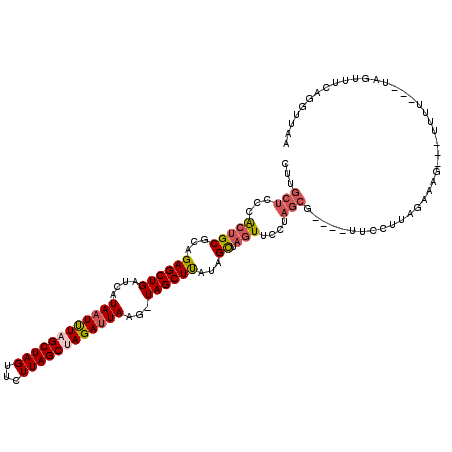 secondary structure