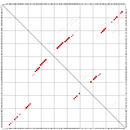 dotplot