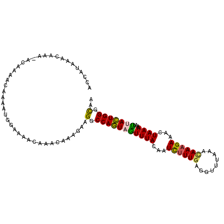 secondary structure
