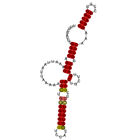 secondary structure