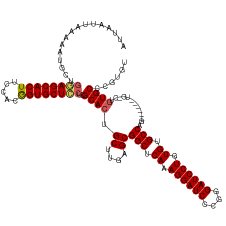 secondary structure