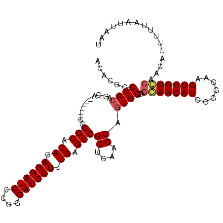 secondary structure