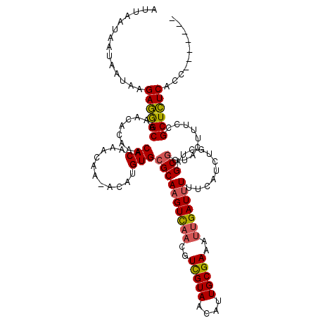 secondary structure