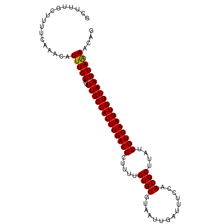 secondary structure