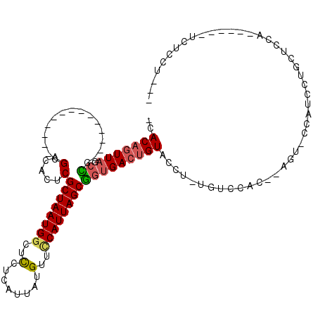 secondary structure