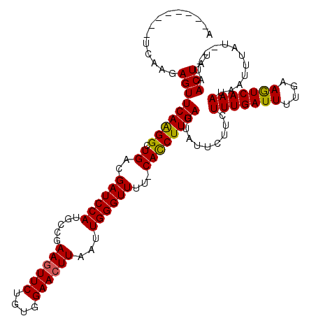 secondary structure