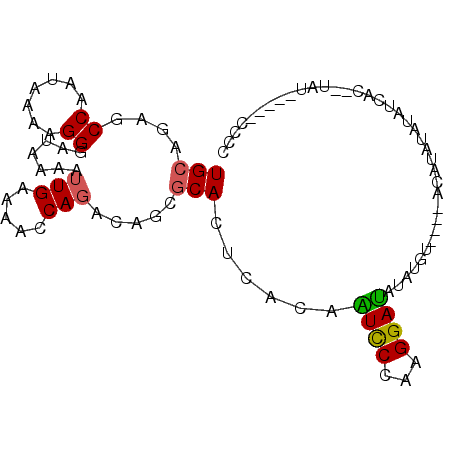 secondary structure