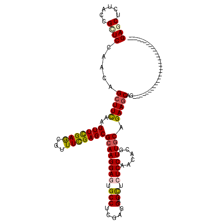 secondary structure