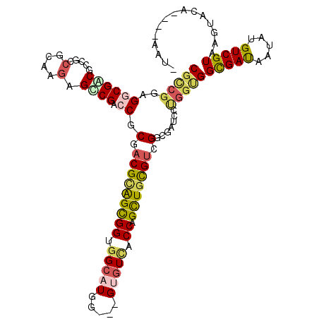 secondary structure