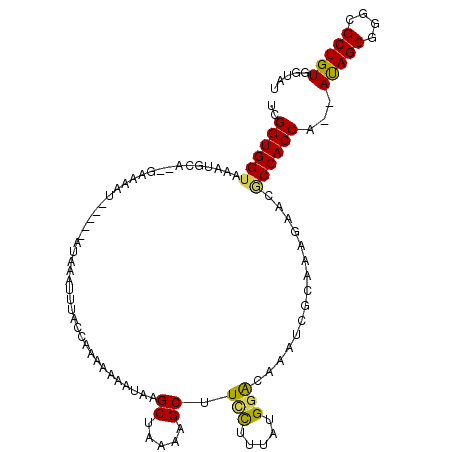 secondary structure