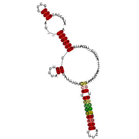 secondary structure