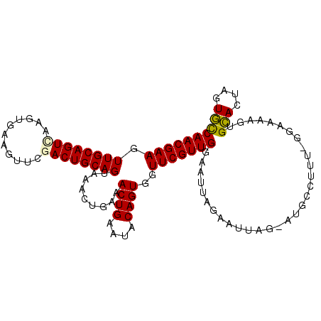 secondary structure