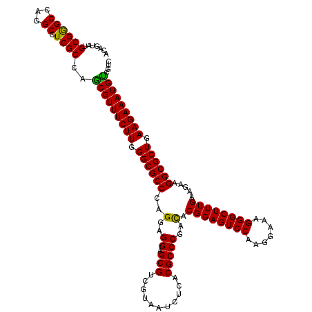 secondary structure