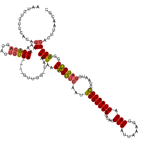 secondary structure