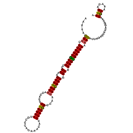 secondary structure