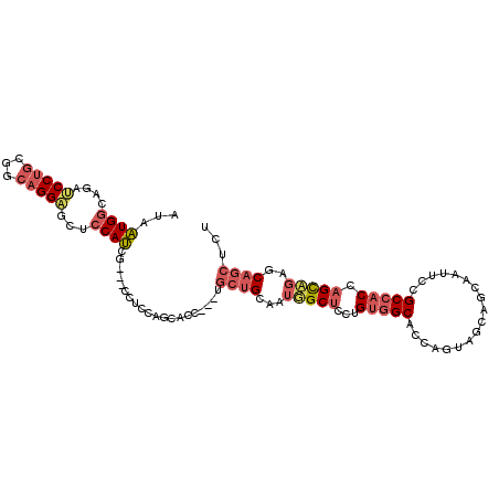 secondary structure