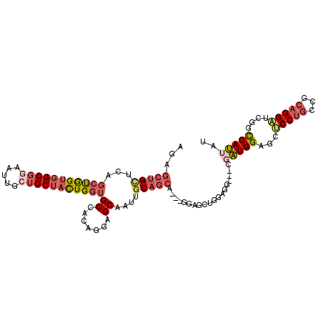 secondary structure