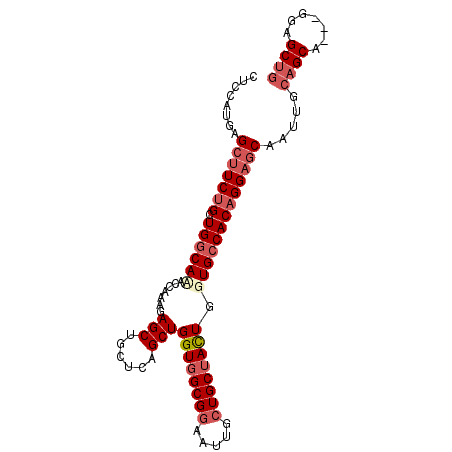 secondary structure