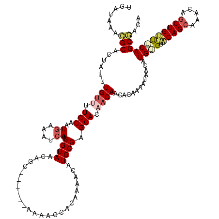 secondary structure