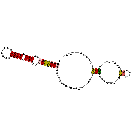 secondary structure