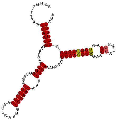 secondary structure