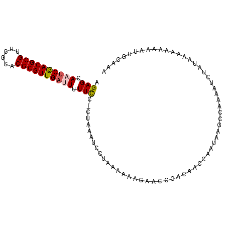 secondary structure
