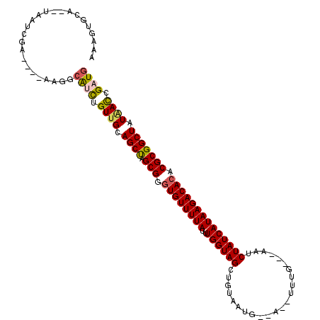 secondary structure