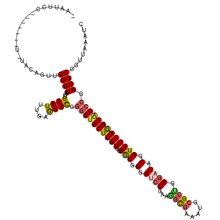 secondary structure