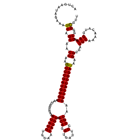secondary structure