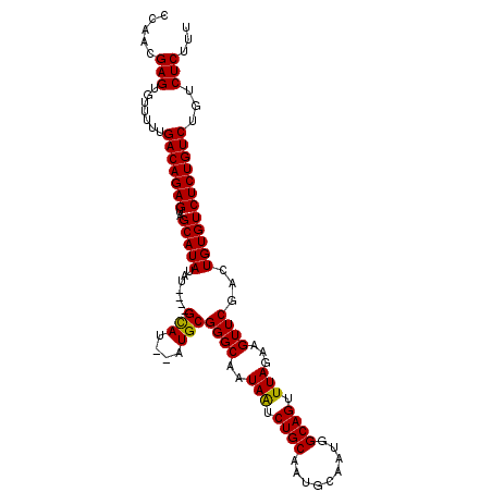 secondary structure