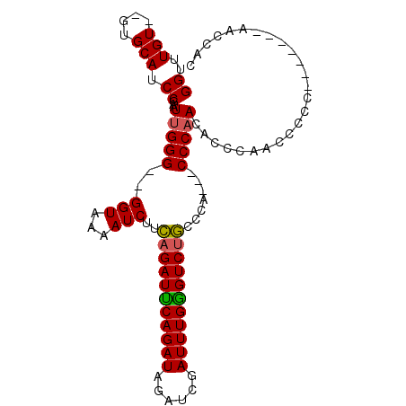 secondary structure