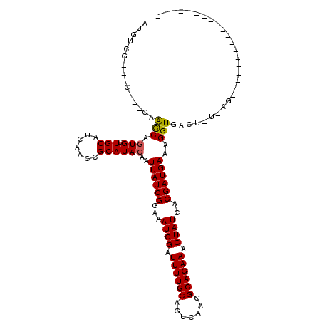 secondary structure