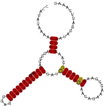 secondary structure
